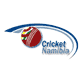 Namibia logo